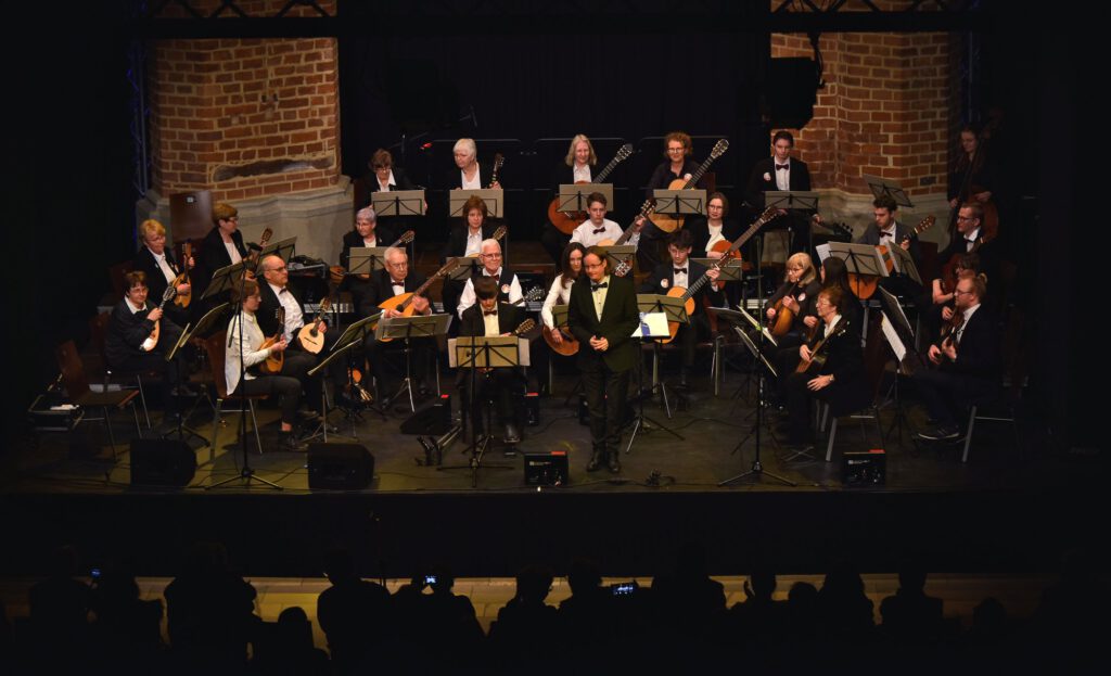 Saitenschwärmer Konzert in Dessau