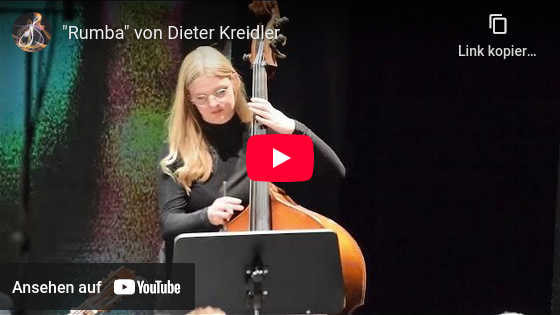 Youtube Video Rumba Saitenschwärmer