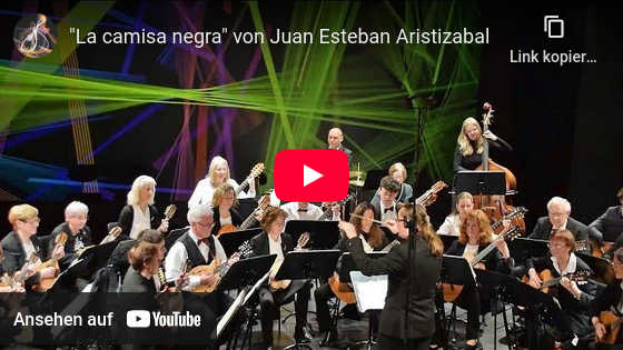Youtube Video Camisa Negra Saitenschwärmer