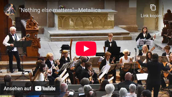 Youtube Video Metallica Saitenschwärmer