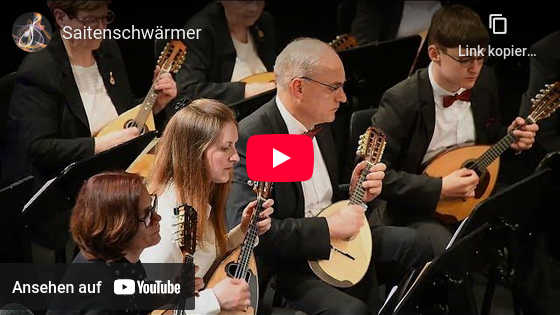 Youtube Video Saitenschwärmer